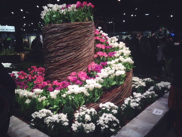 Processed with VSCOcam with f2 preset