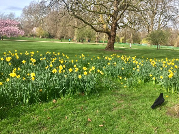 FullSizeRender (100)